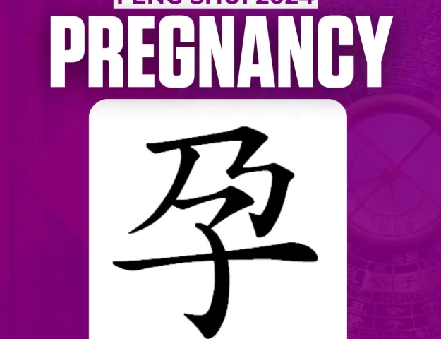FENG SHUI vs. PREGNANCY IN 2024