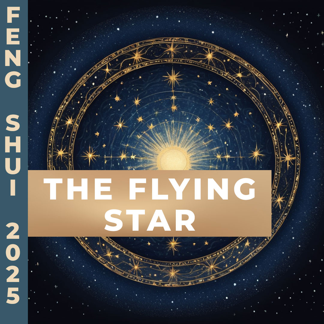 The Flying Star chart