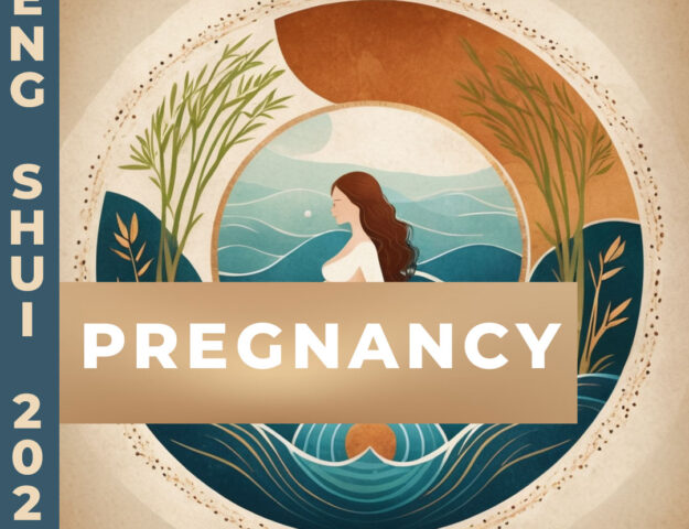 Feng Shui vs. Pregnancy in 2025